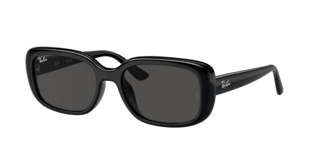 RB4421D Sunglasses