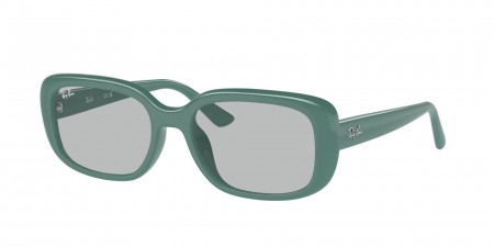 RB4421D Sunglasses
