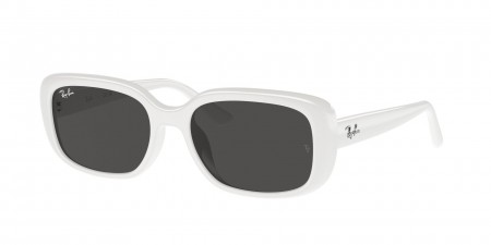 RB4421D Sunglasses