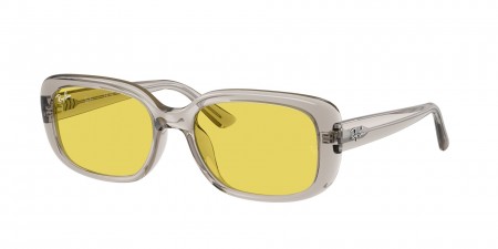 RB4421D Sunglasses