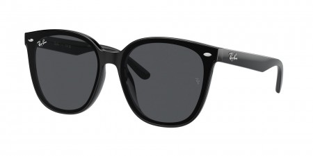 RB4423D Sunglasses