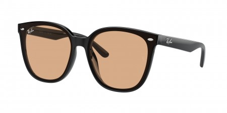 RB4423D Sunglasses