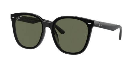 RB4423D Sunglasses