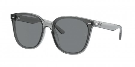 RB4423D Sunglasses