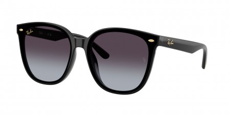 RB4423D Sunglasses