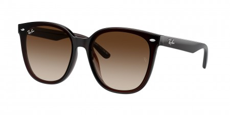 RB4423D Sunglasses