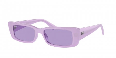 RB4425F Teru Sunglasses