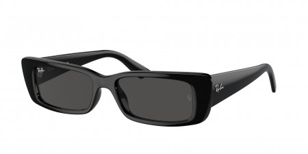 RB4425 Teru Sunglasses