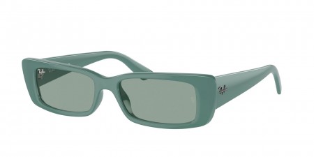 RB4425 Teru Sunglasses