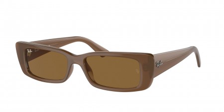 RB4425 Teru Sunglasses