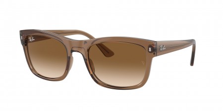 RB4428F Sunglasses
