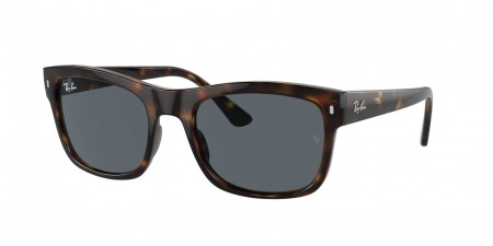 RB4428 Sunglasses