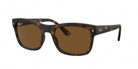 RB4428 Sunglasses