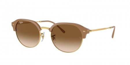 RB4429 Sunglasses