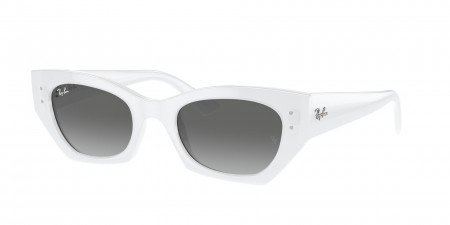 RB4430F Zena Sunglasses