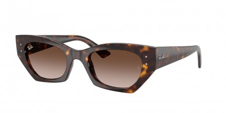 RB4430 Zena Sunglasses