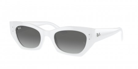 RB4430 Zena Sunglasses