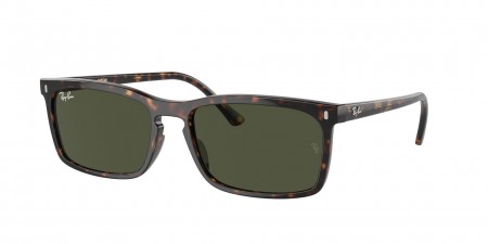 RB4435 Sunglasses