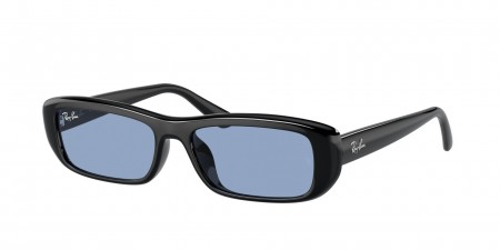 RB4436D Sunglasses