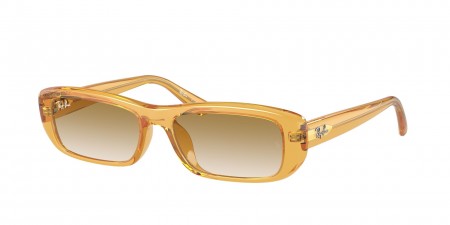 RB4436D Sunglasses