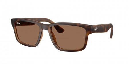 RB4438L Sunglasses