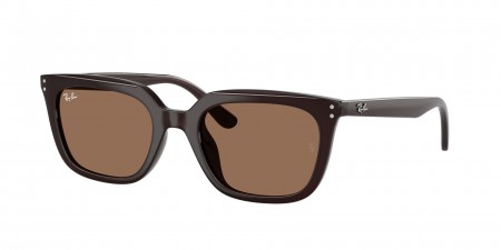 RB4439D Sunglasses