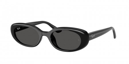 RB4441D Sunglasses