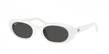 RB4441D Sunglasses