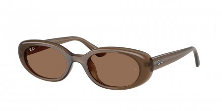 RB4441D Sunglasses