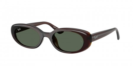 RB4441D Sunglasses
