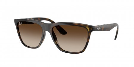 RB4442I Sunglasses