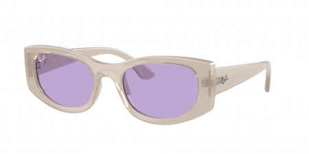 RB4446L Sunglasses