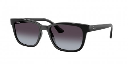 RB4448L Sunglasses