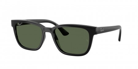 RB4448L Sunglasses