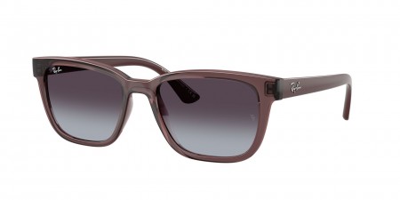 RB4448L Sunglasses