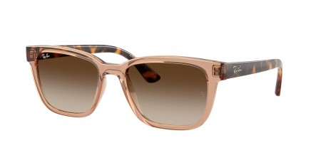 RB4448L Sunglasses