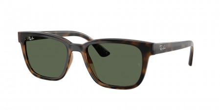 RB4448L Sunglasses