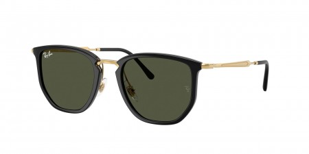 RB4451 Sunglasses