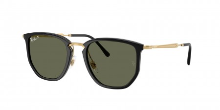 RB4451 Sunglasses