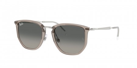 RB4451 Sunglasses