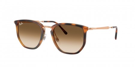 RB4451 Sunglasses