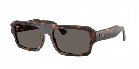 RB4454F Lukas Sunglasses