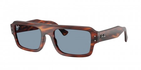 RB4454F Lukas Sunglasses