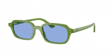 RB4455F Zuri Sunglasses