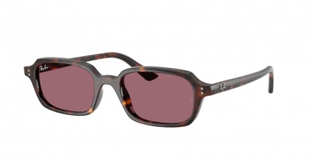 RB4455 Zuri Sunglasses