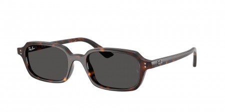 RB4455 Zuri Sunglasses
