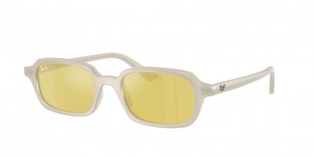 RB4455 Zuri Sunglasses