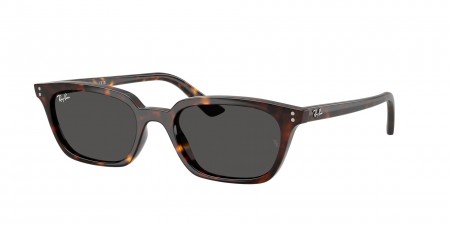 RB4456F Zaya Sunglasses