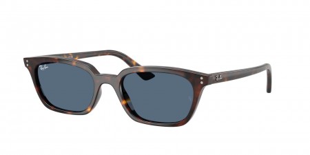 RB4456 Zaya Sunglasses