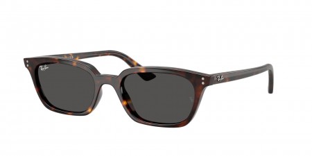 RB4456 Zaya Sunglasses
